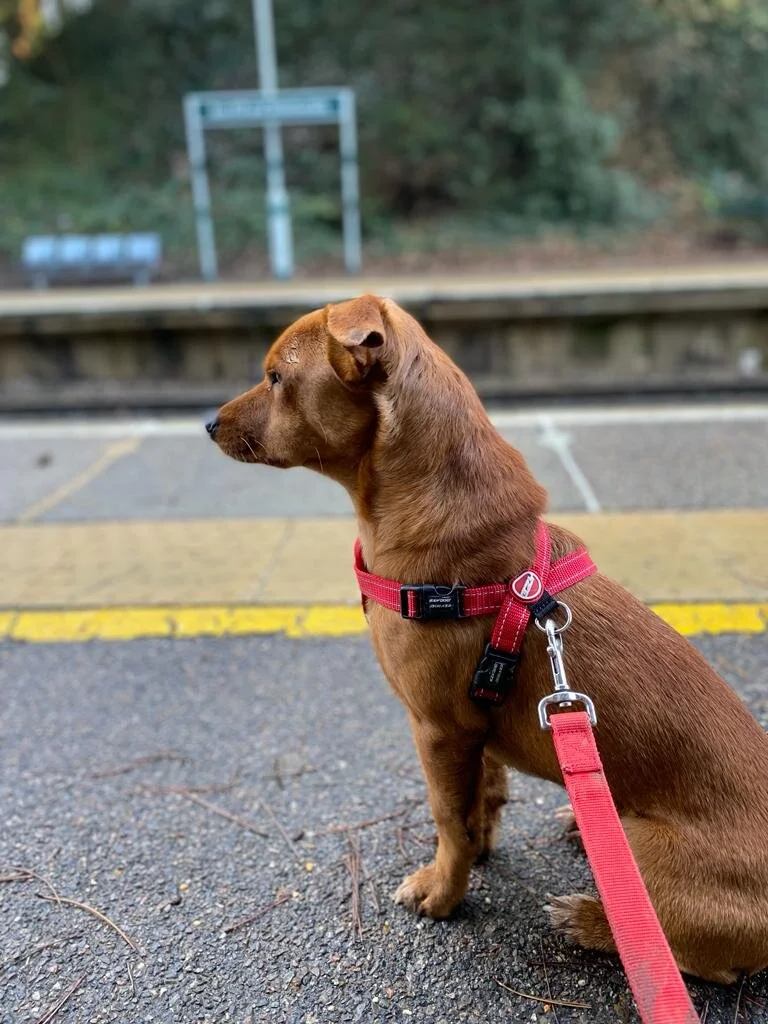 2CEBE1EF-D869-4F15-AA33-51A73CC593E3