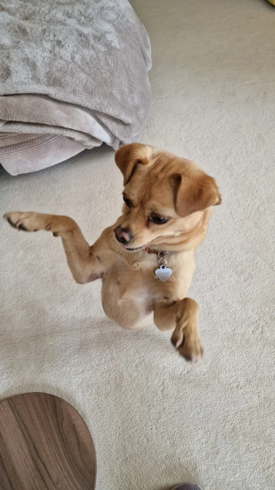 49794DF8-12A5-437C-BDFD-545C9124D6D2