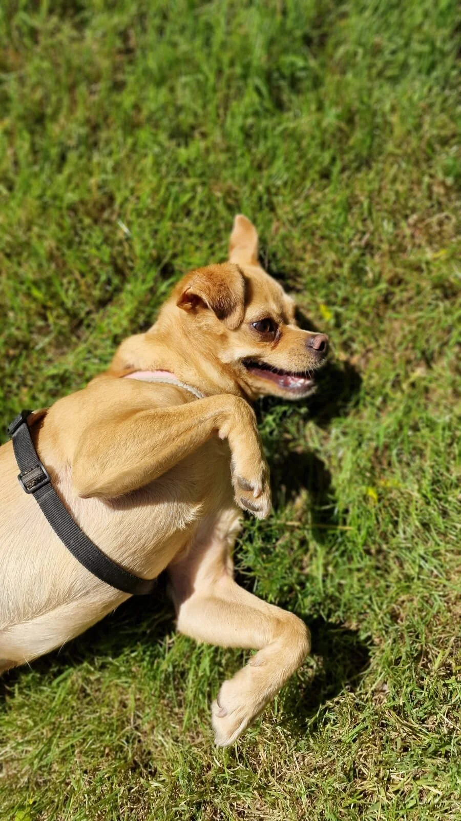 1CEF4187-EE3E-40E0-B8B7-9A811A4FC46C