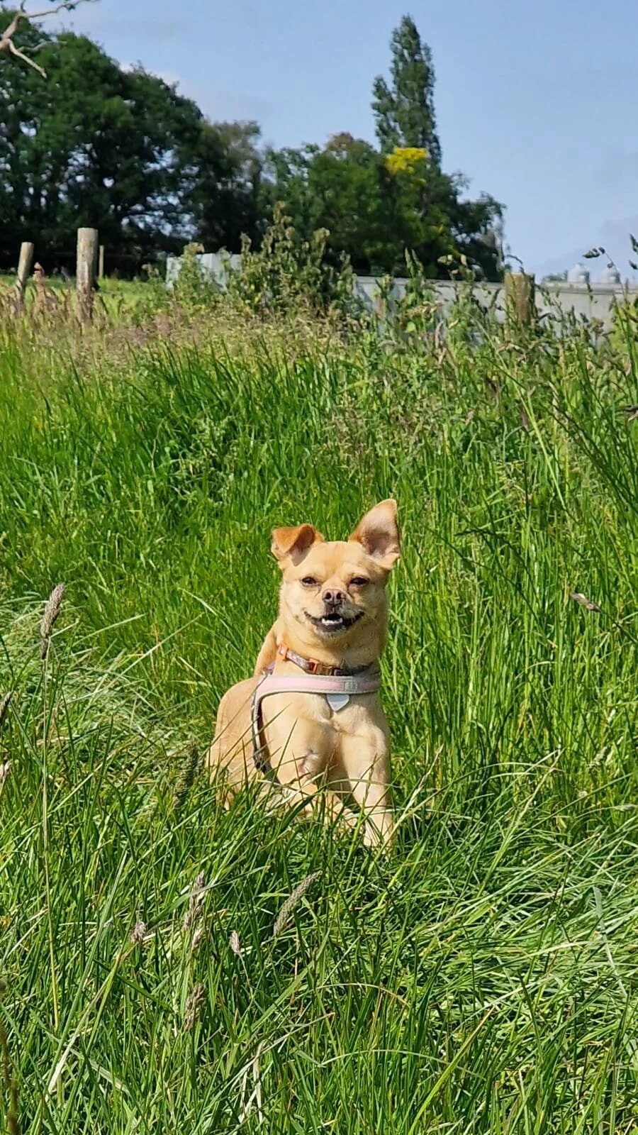 C3C09DA5-9659-4A47-BE78-DE2590E7ADC7