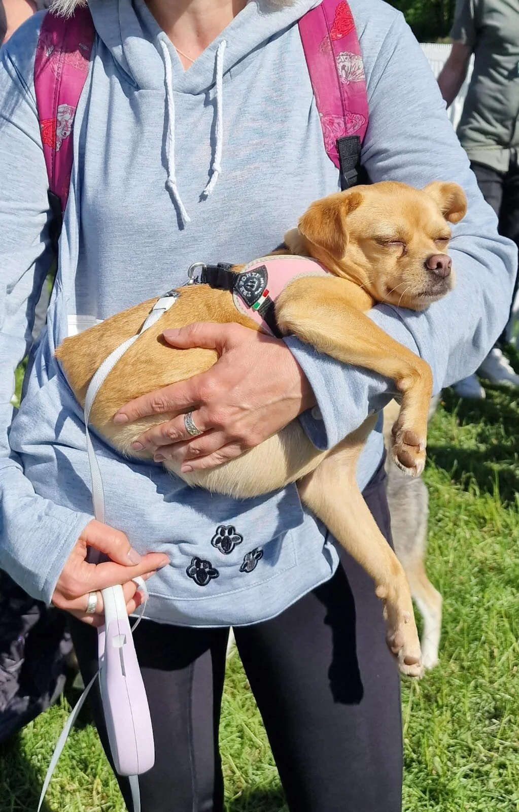 7D9E482D-7204-4722-8FCE-83E991481AAA