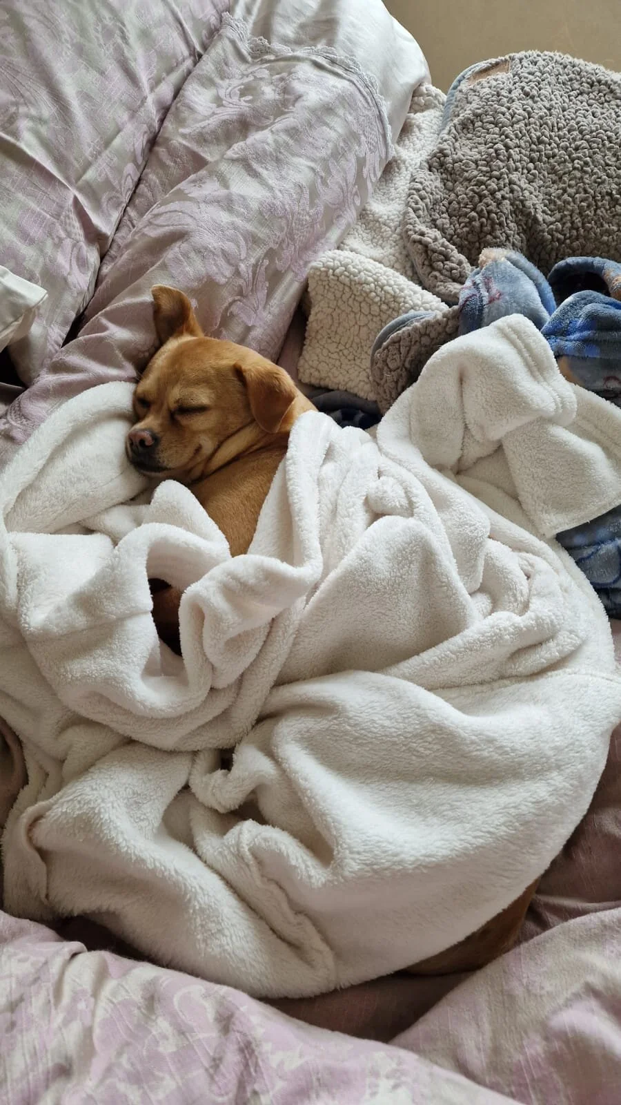 960C346A-0A99-41B6-8BE8-DC287458A952