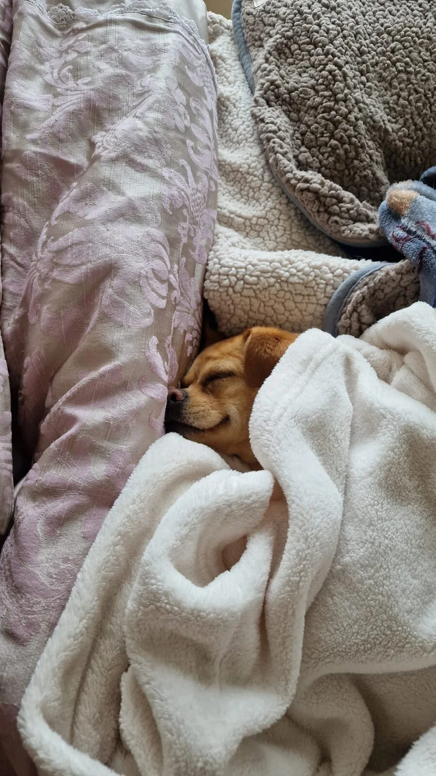 FF8FA059-8951-4C9E-ABDA-CEBC058DE9B5