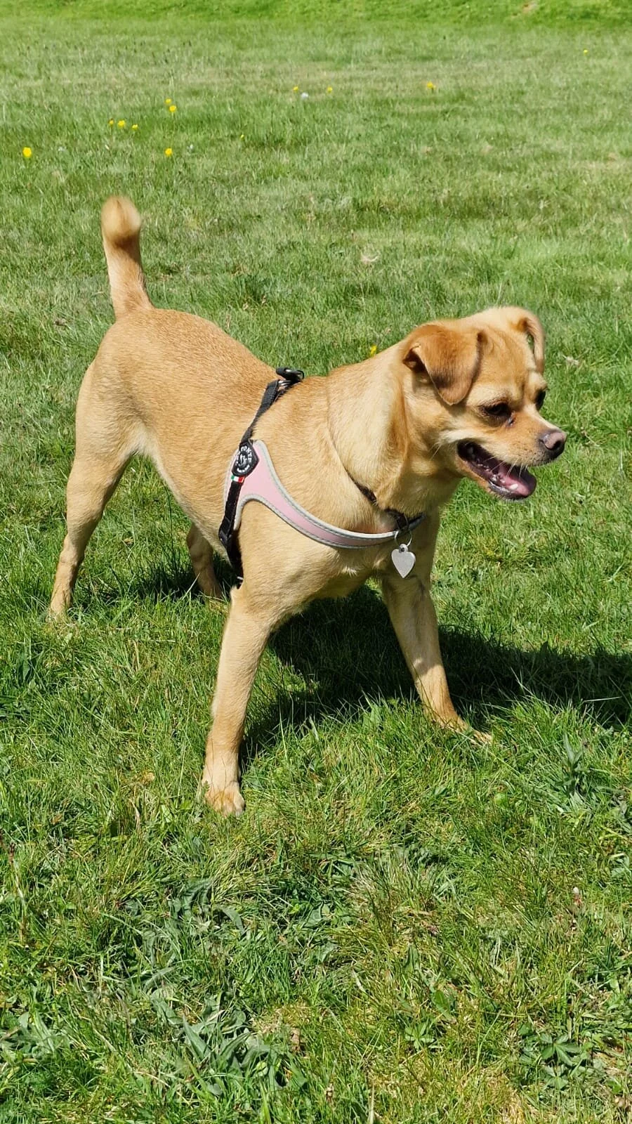 6B08F43B-24D5-4E02-BDED-1651E8301800