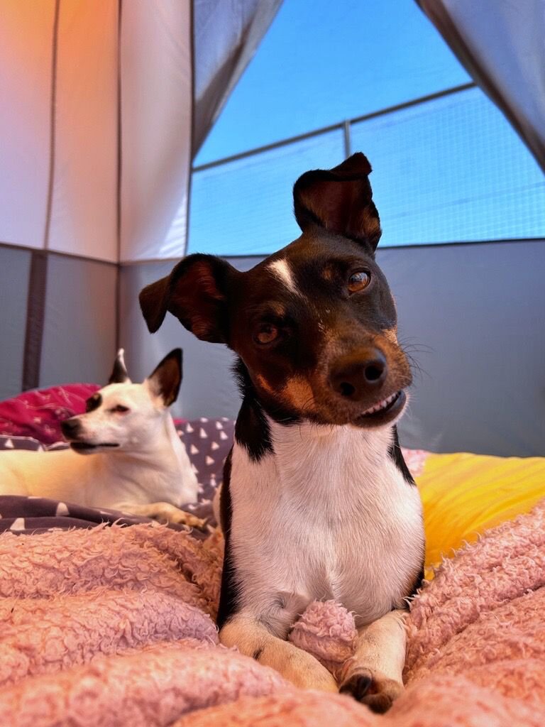 DA2FB830-9836-4F66-8EE7-B640DBD31245