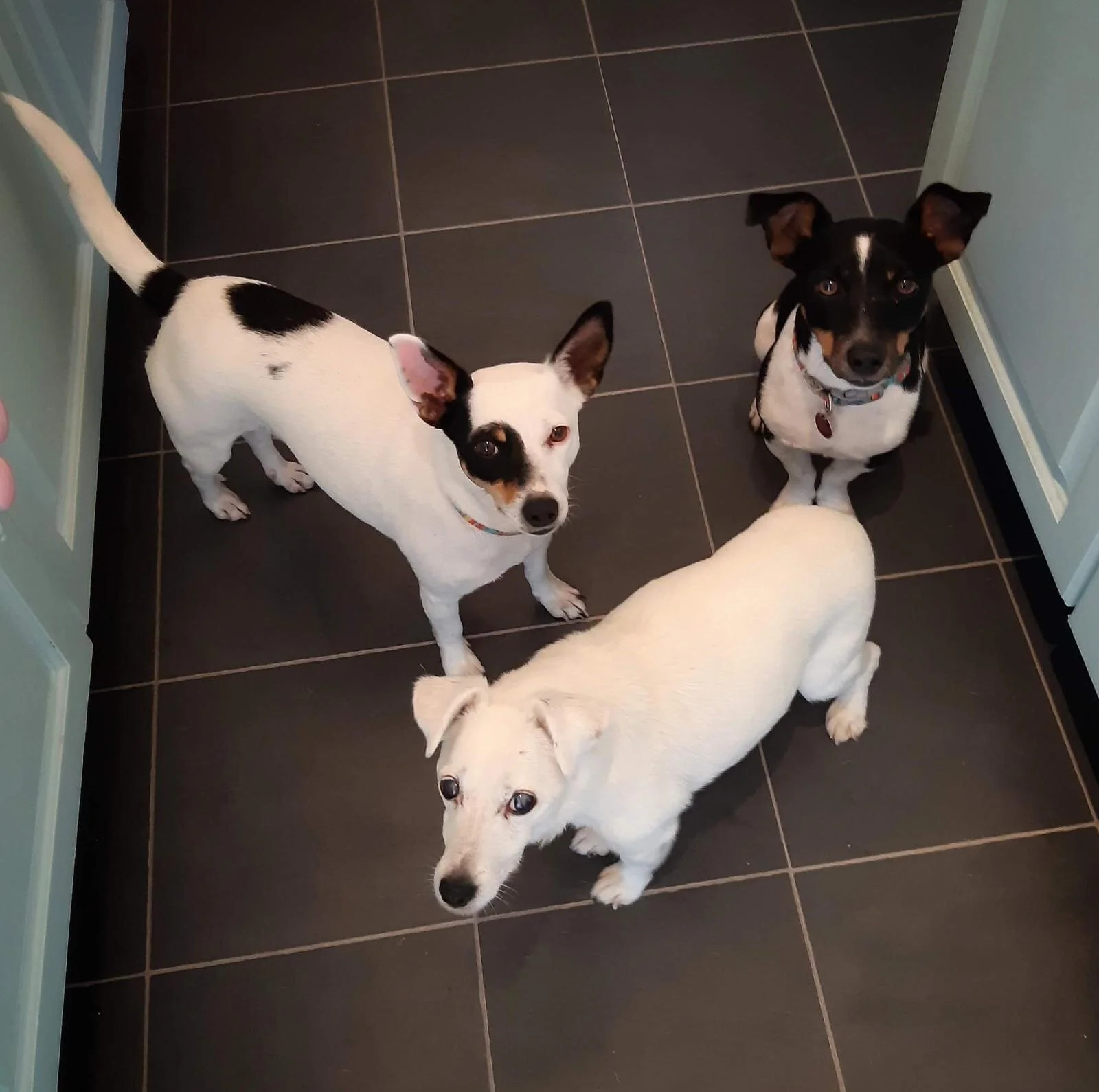 FCFC3CD6-F5CF-4A75-BF68-EE4A71D8E875