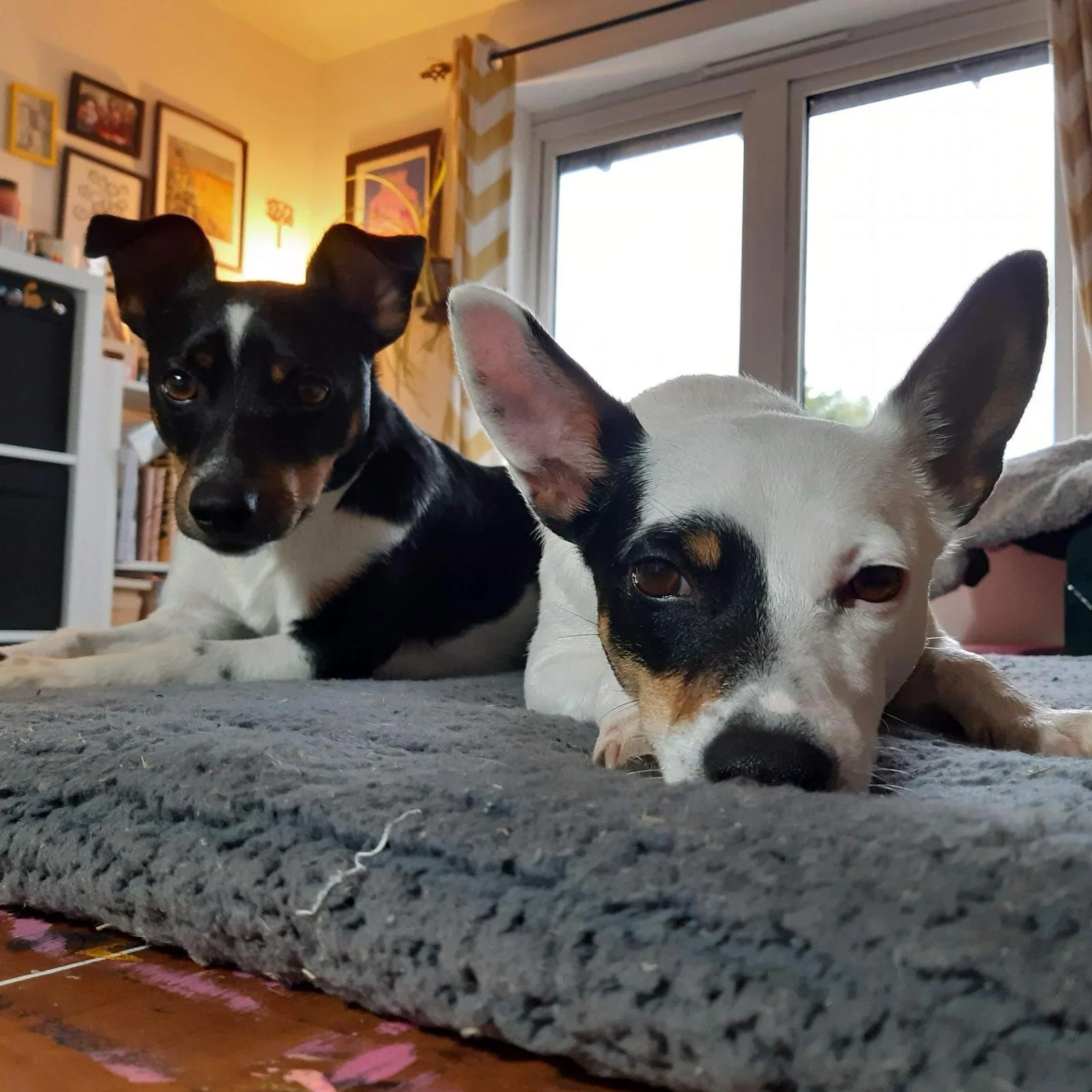 C9A77BE0-CD83-42F1-AC02-851786F8FD49