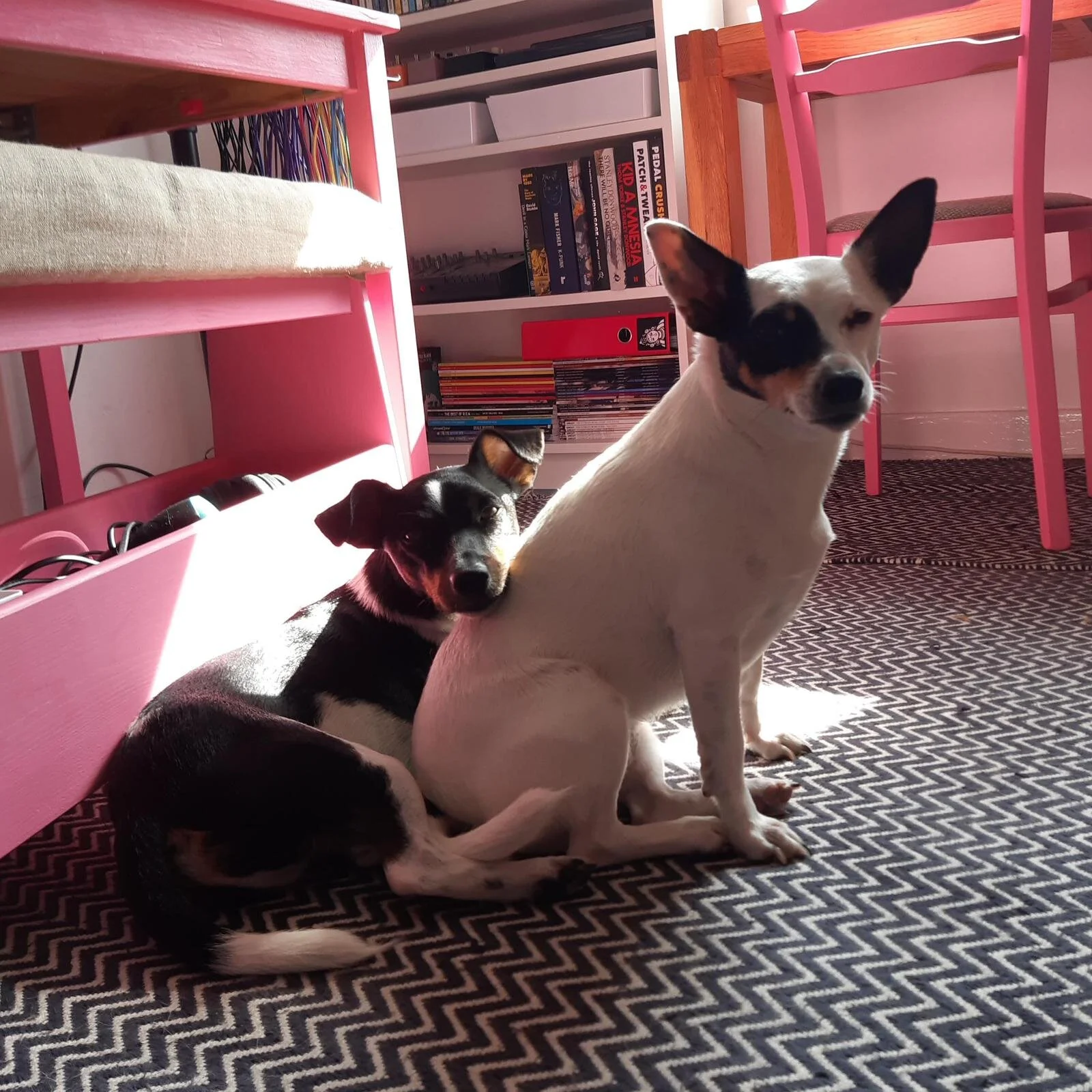 C7A25D92-F8A1-4C97-852A-A3F5493F36BA