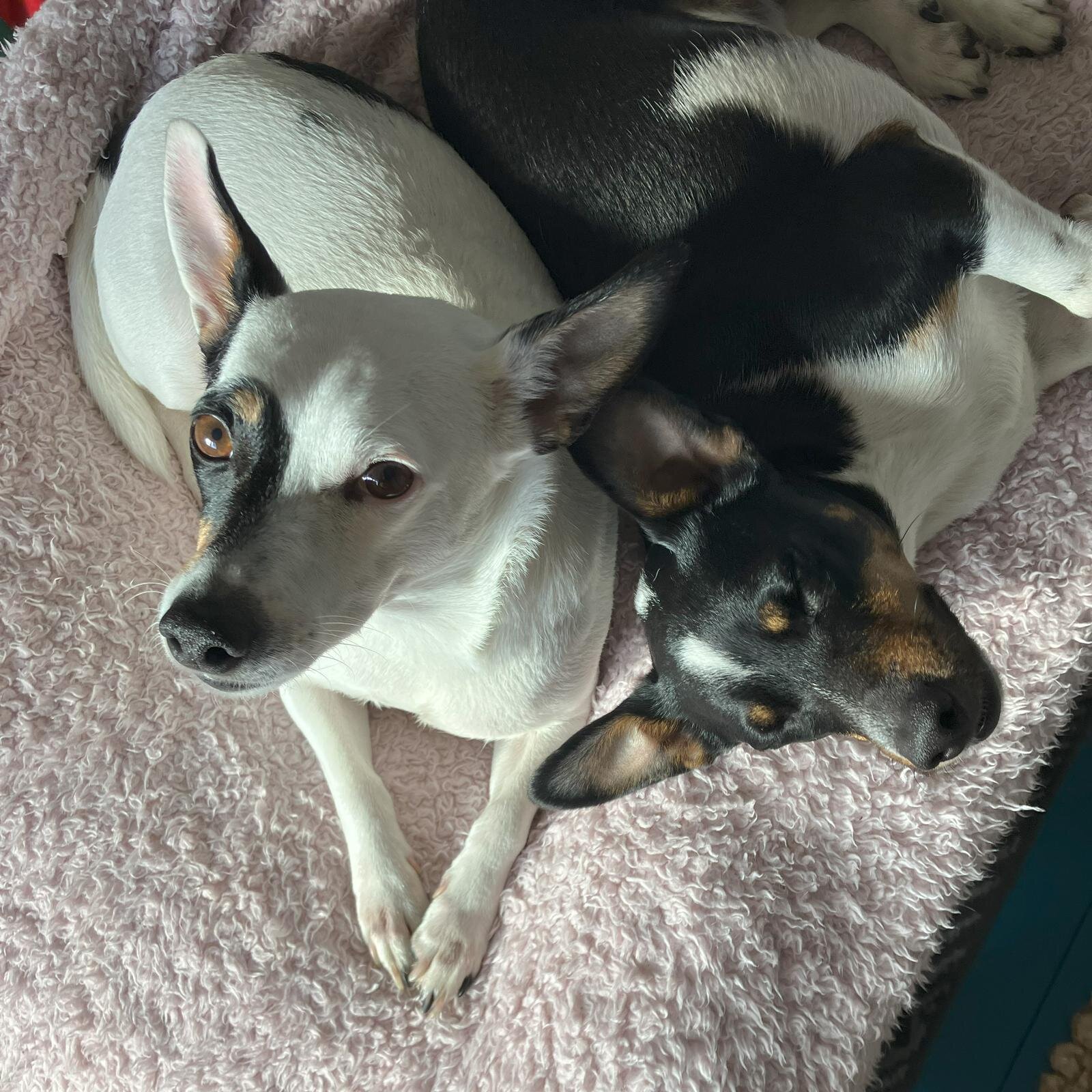 BBC9E4C8-F30A-47B4-BCDA-E91A1A6F245E