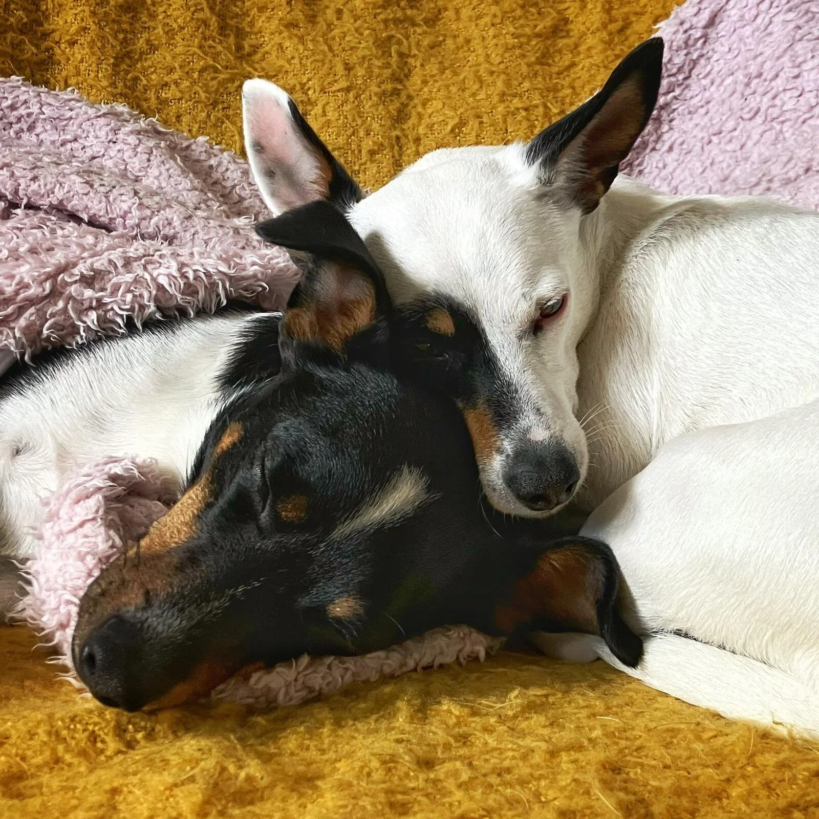 32922B3A-0DBA-4B30-9772-16CFD36A92DD