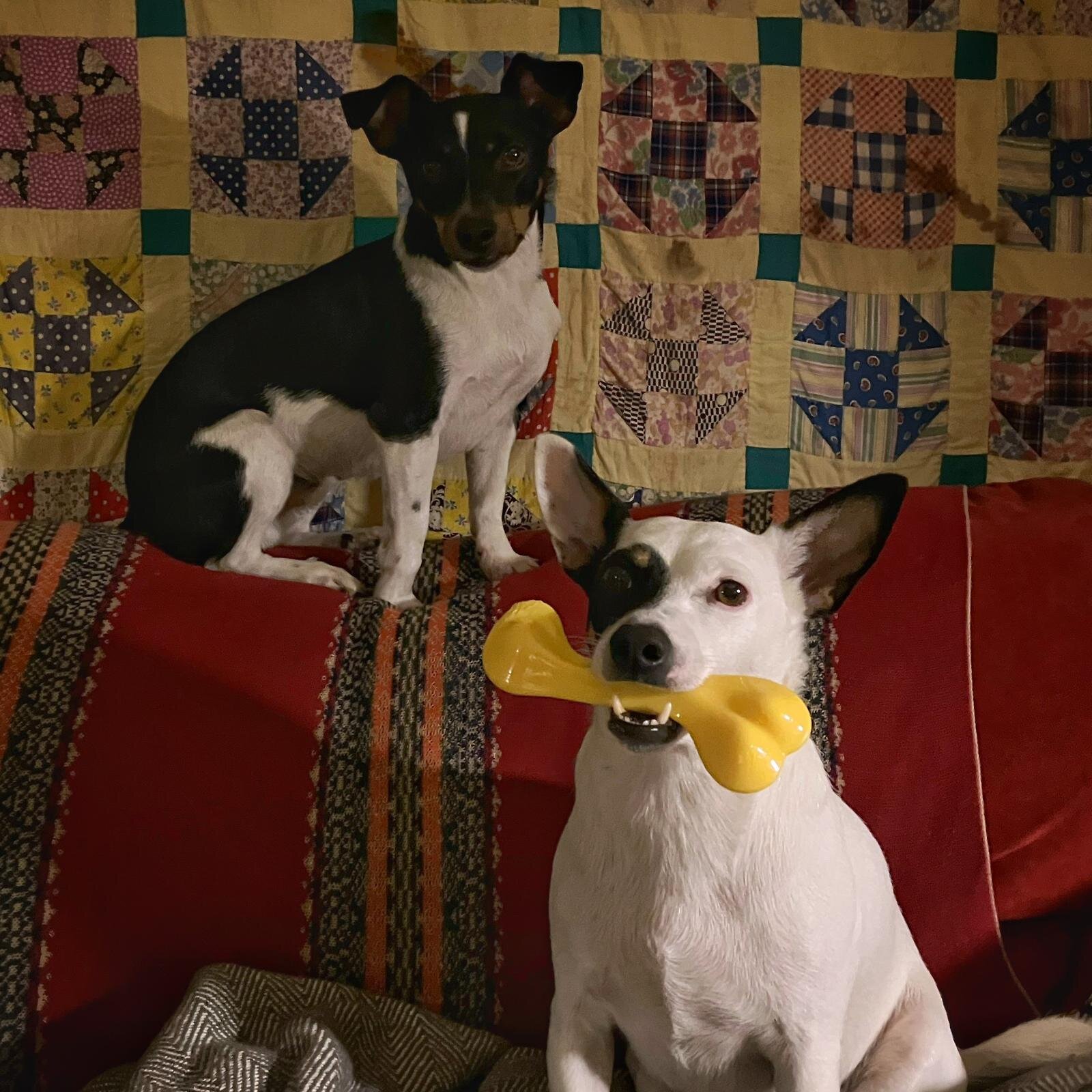 822BAEF2-5152-421D-9407-8654335955AE