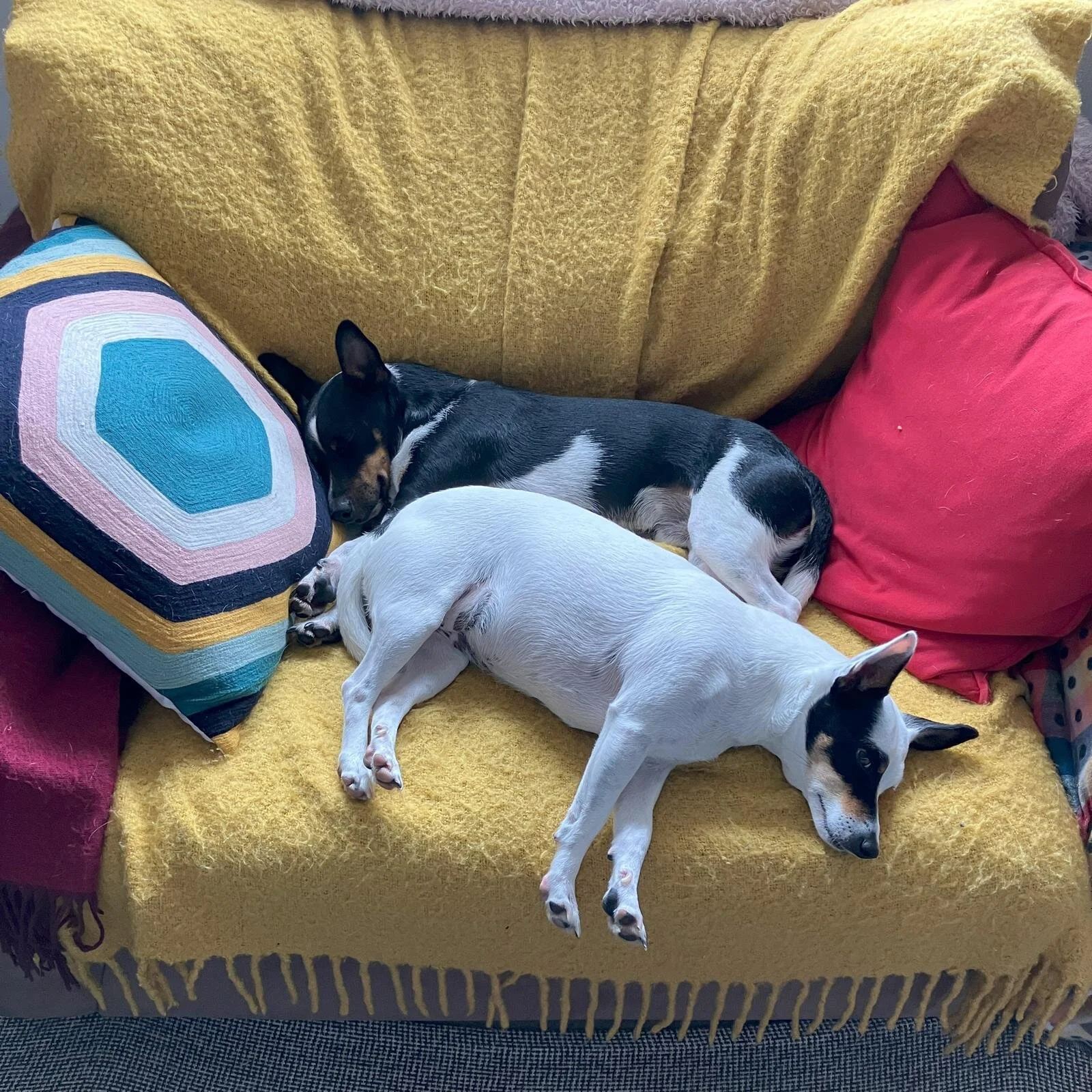 5D6CFA2A-BF0C-475F-A820-20B519D8D3F7