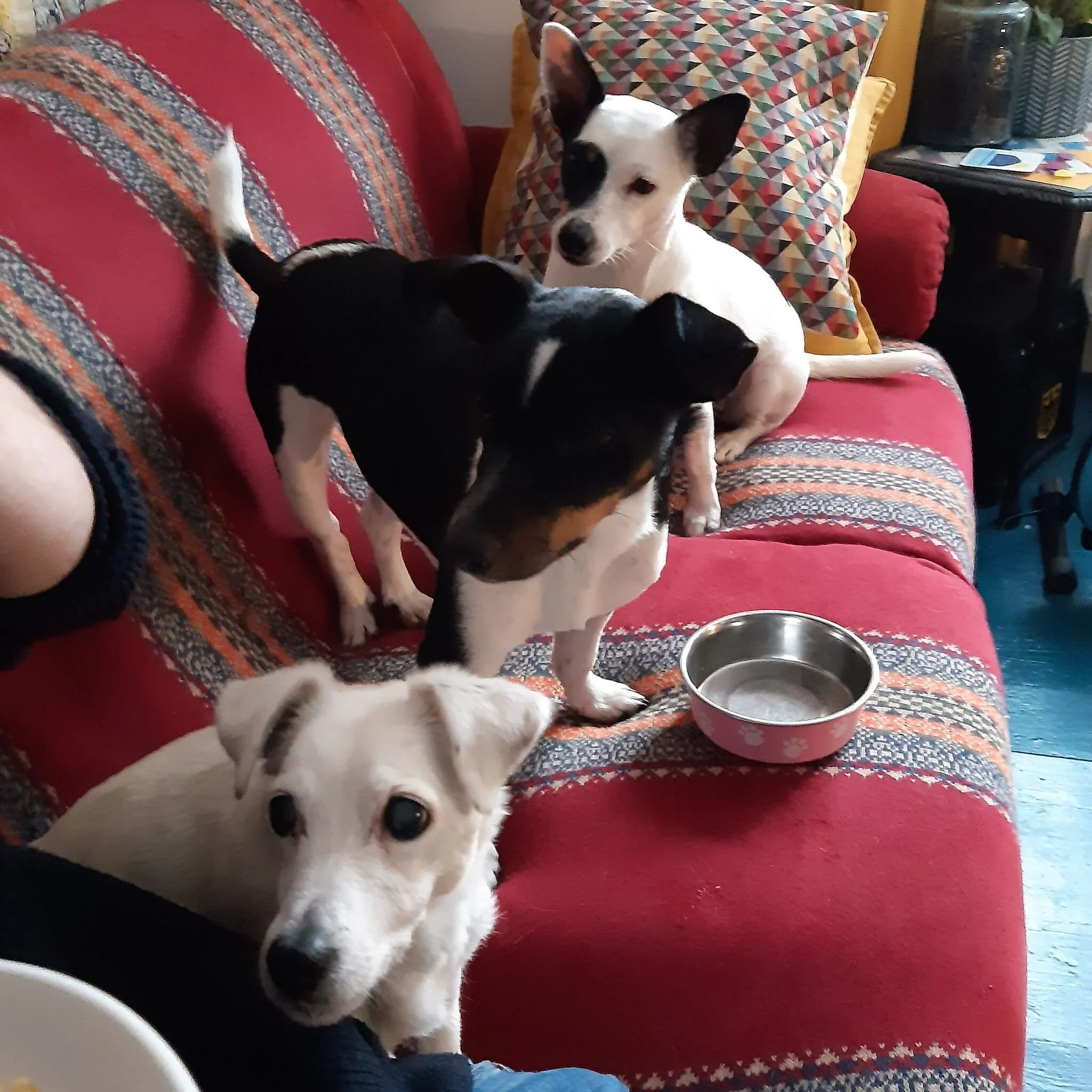 EE41E8B3-A23F-44A2-83D3-F60B8773F6AA