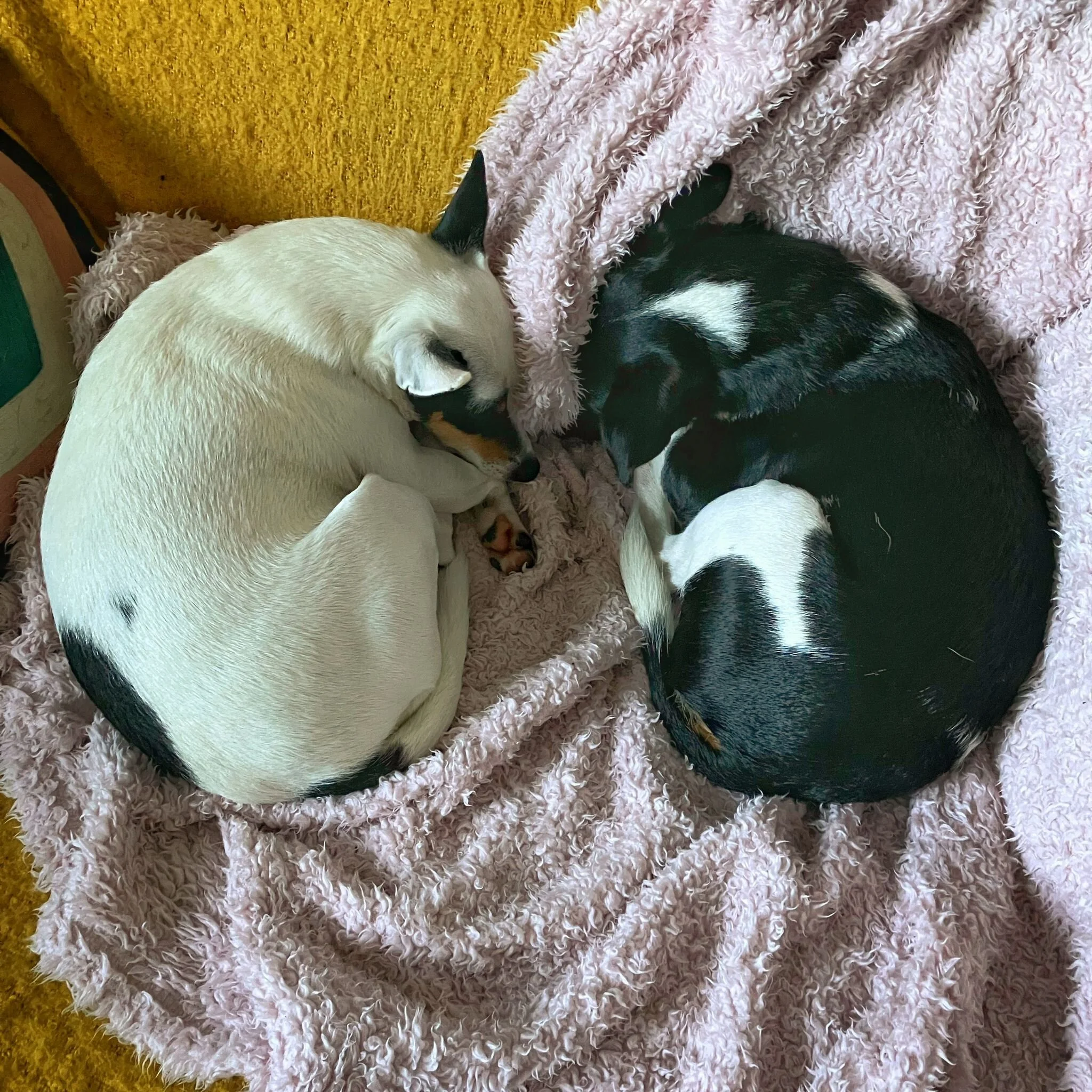 BA3AC1DD-DDD3-42A1-BA0E-E72F0215556C