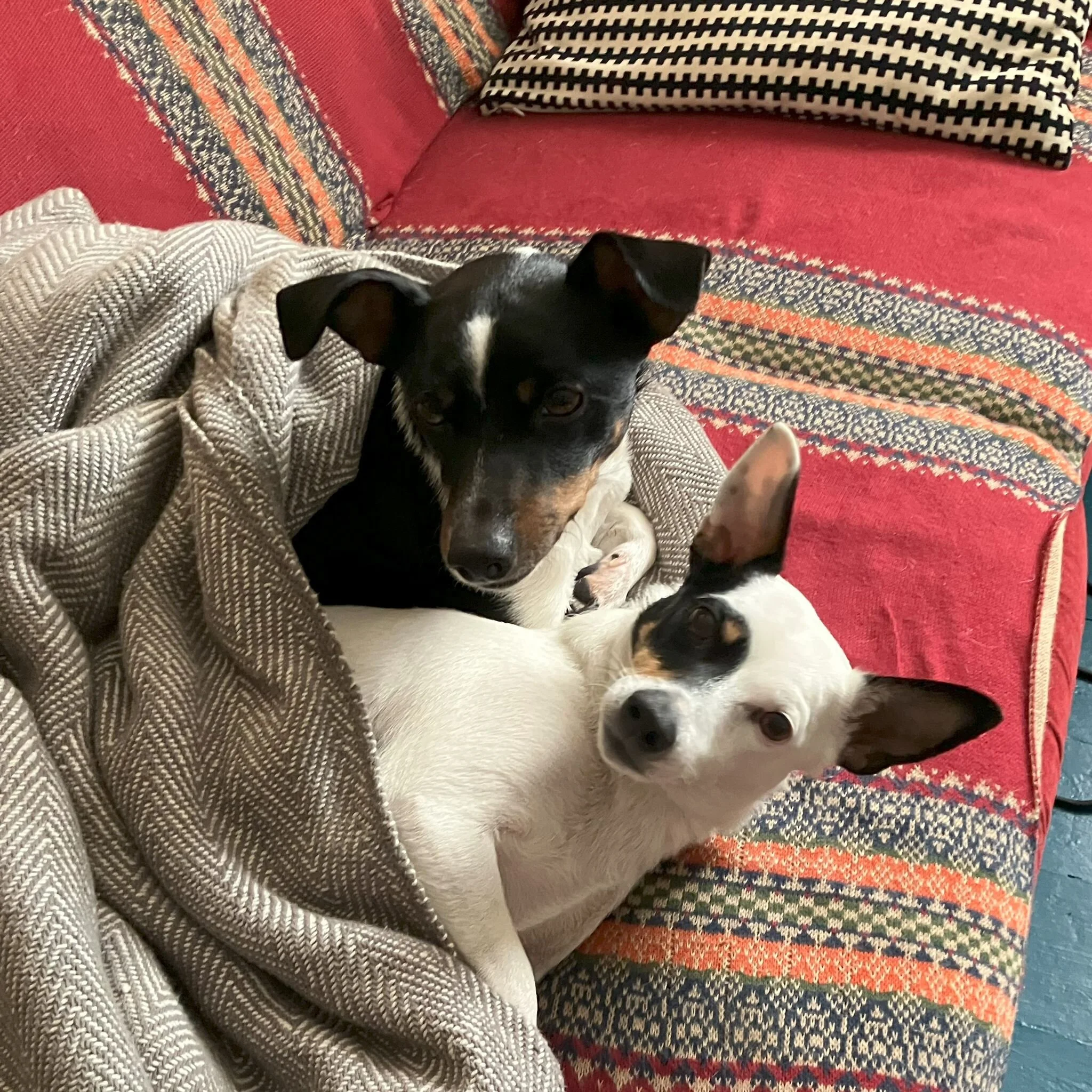 3B906F0C-4661-49D5-894E-B79EAC320E66