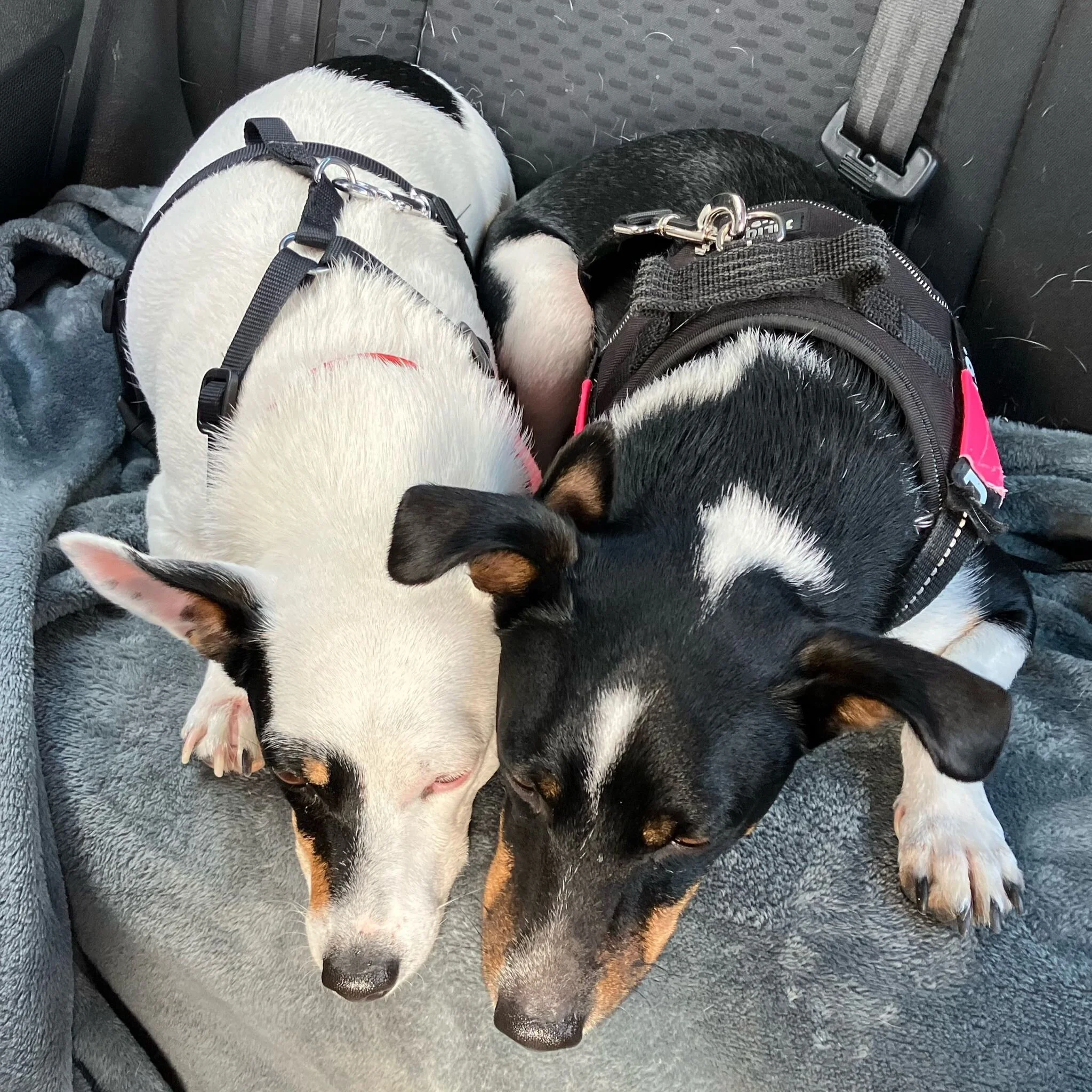 0BBDDEAF-FB06-456F-B5A2-C316FF213532