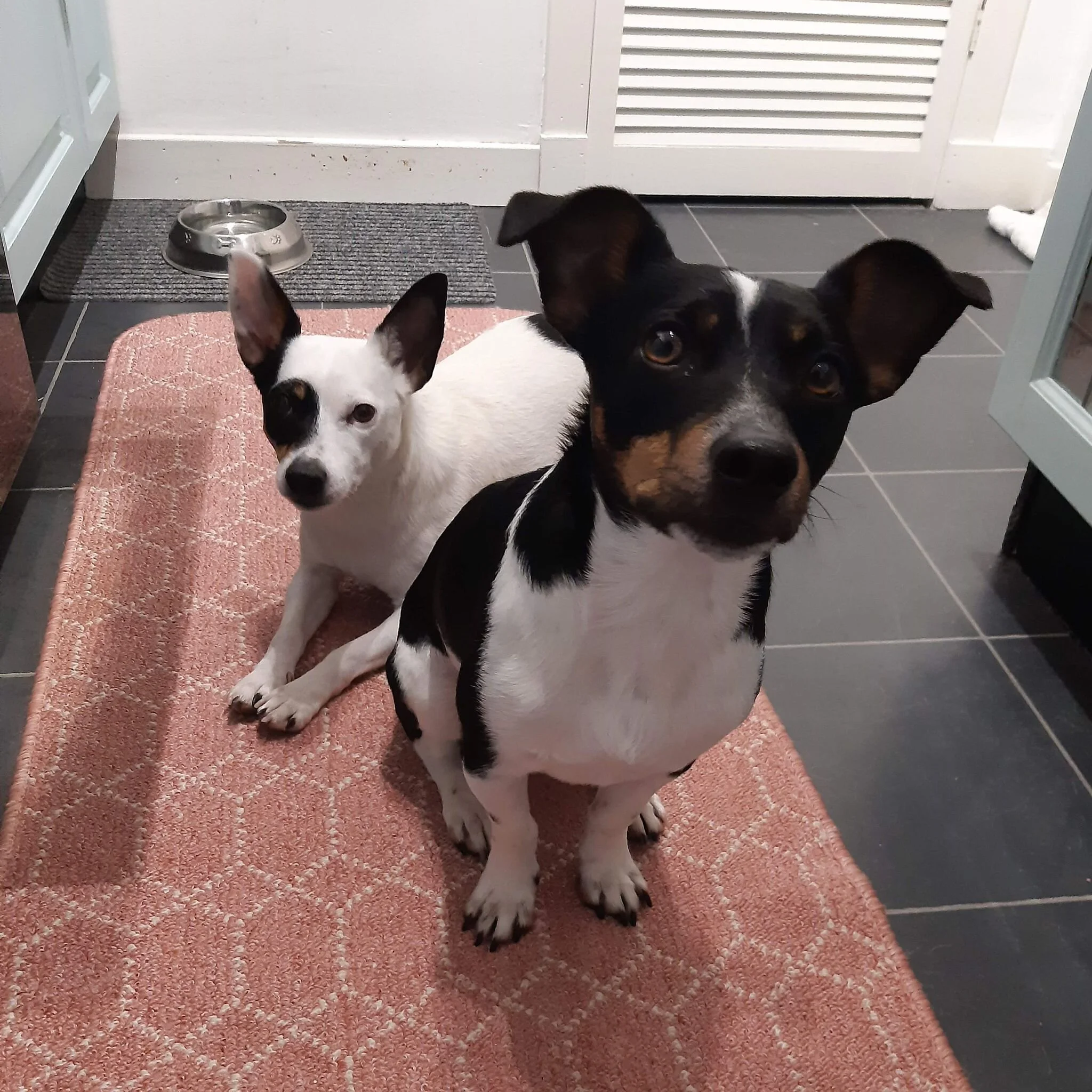 28B876F9-D00E-4397-9E3B-9AB9A33F63CB