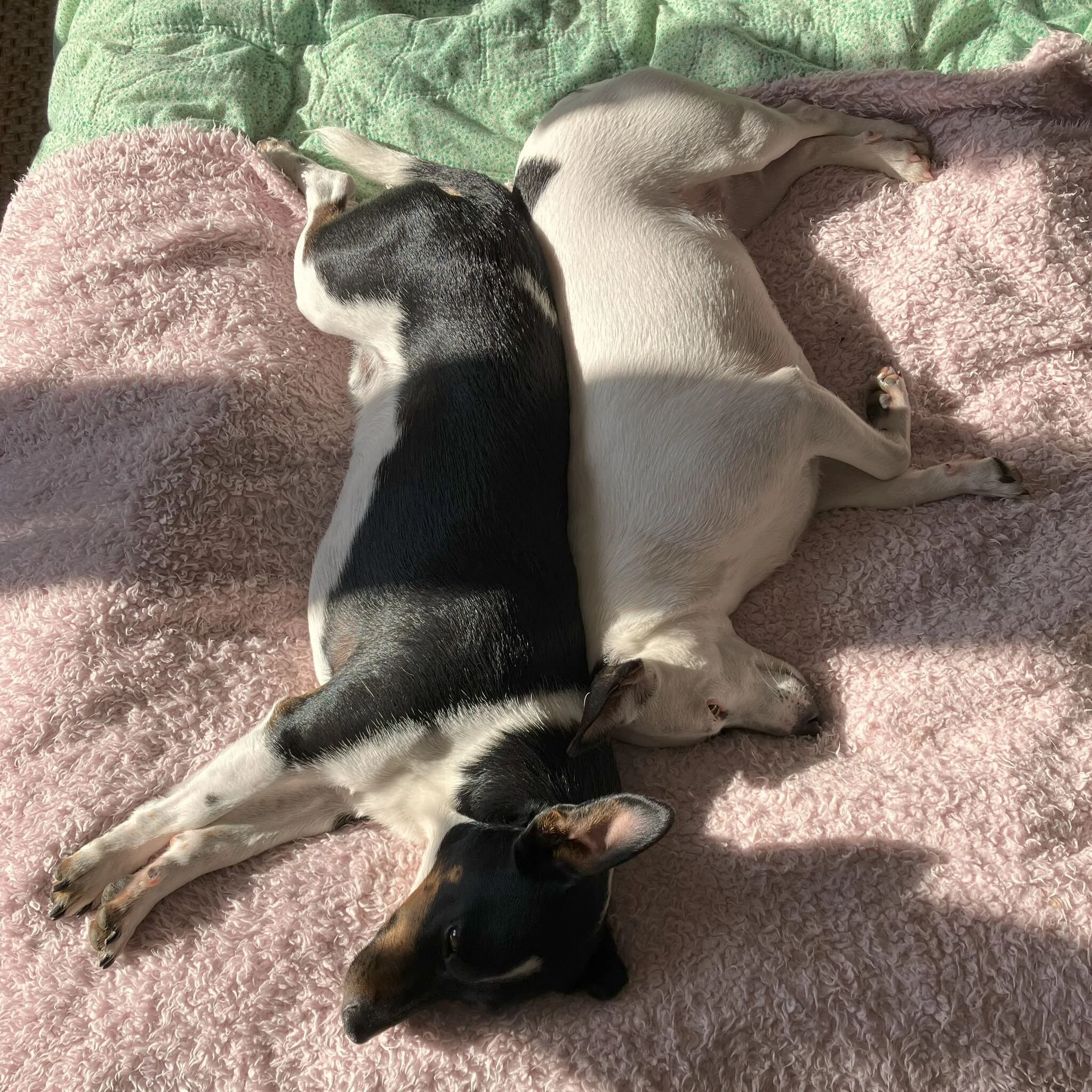 FD28791A-858C-46F2-B2F8-05107FAC12E6