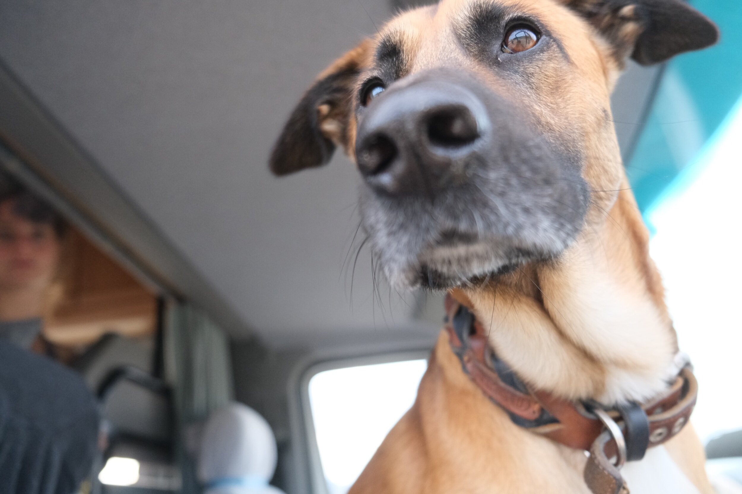 00BC582D-124E-449E-ABED-4751ECC998F6