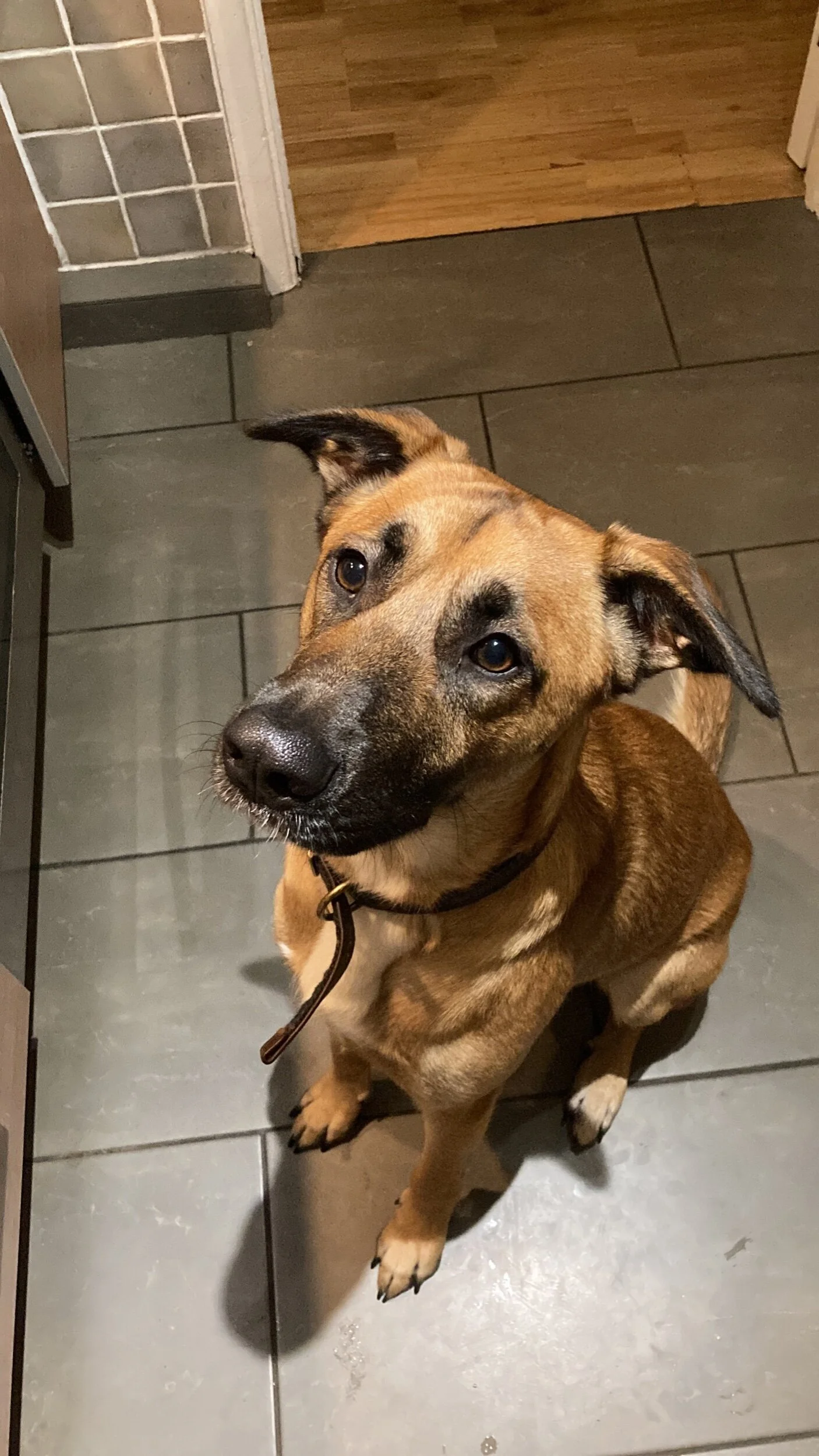 D1E2DCAB-E26F-4D6D-9362-8F0E45A747AA