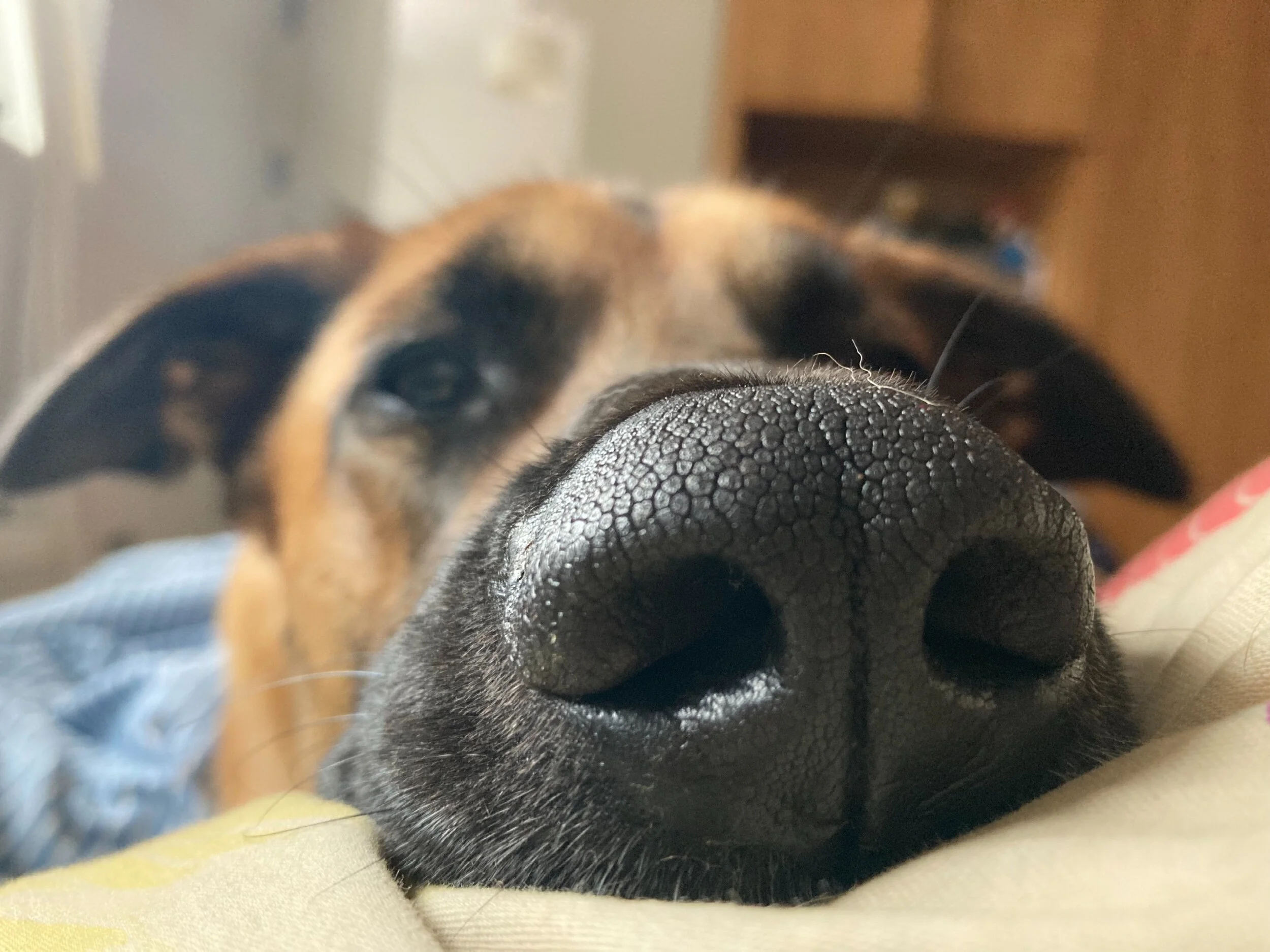 0523170E-F90A-48DC-9205-DDAB25E0F14E