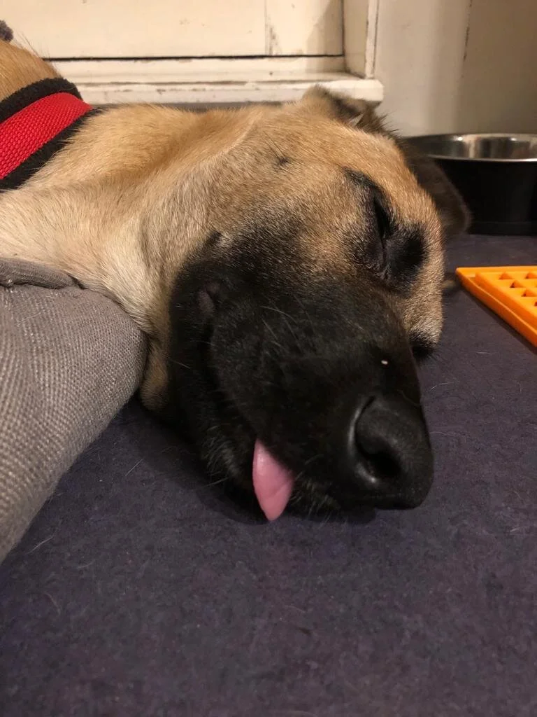 EB669DC8-14F9-46B3-B59C-9F8AB66C7EEB