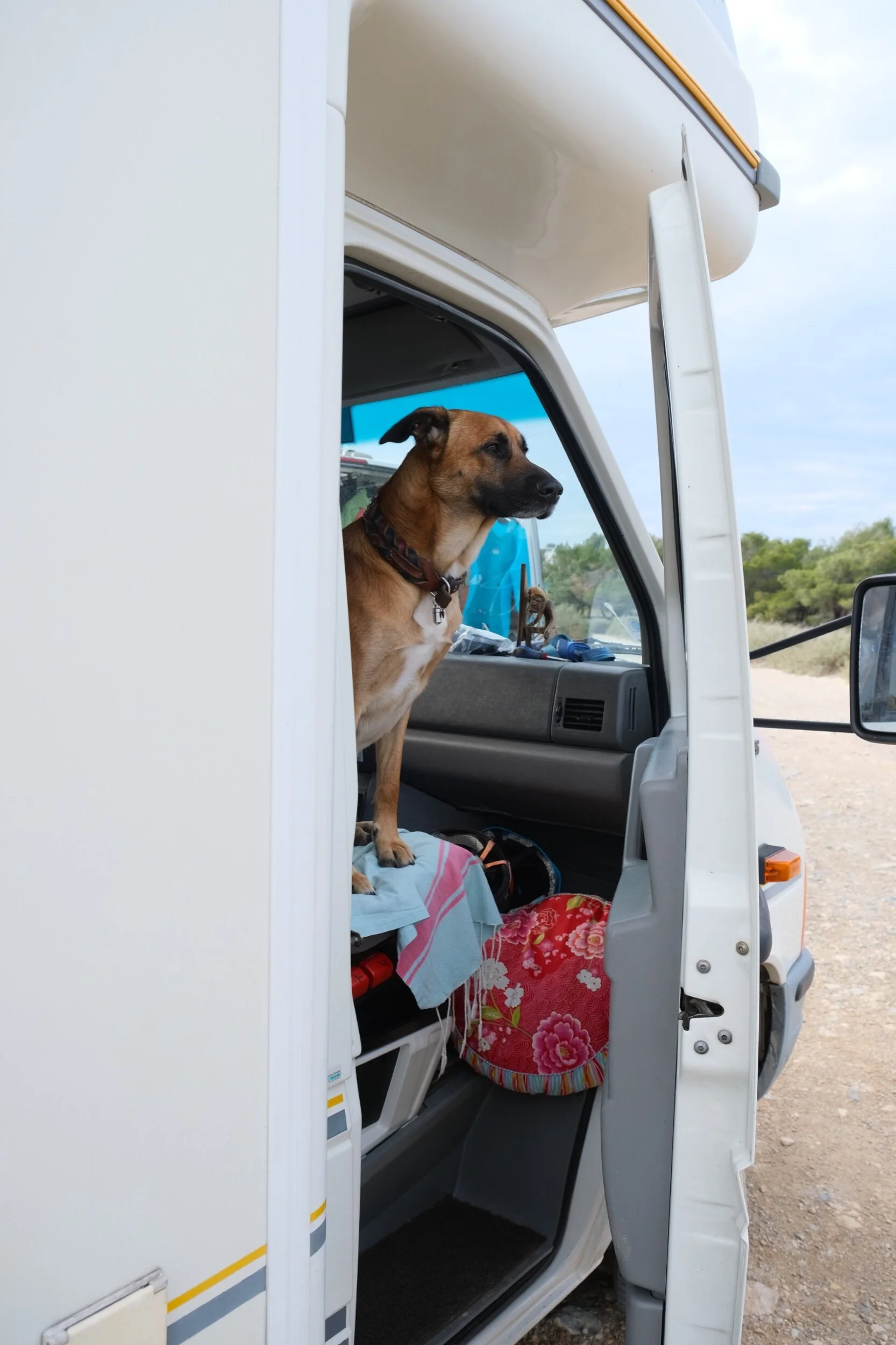 8BE6A90F-C88A-43C5-A47A-A5D5B98A84A9