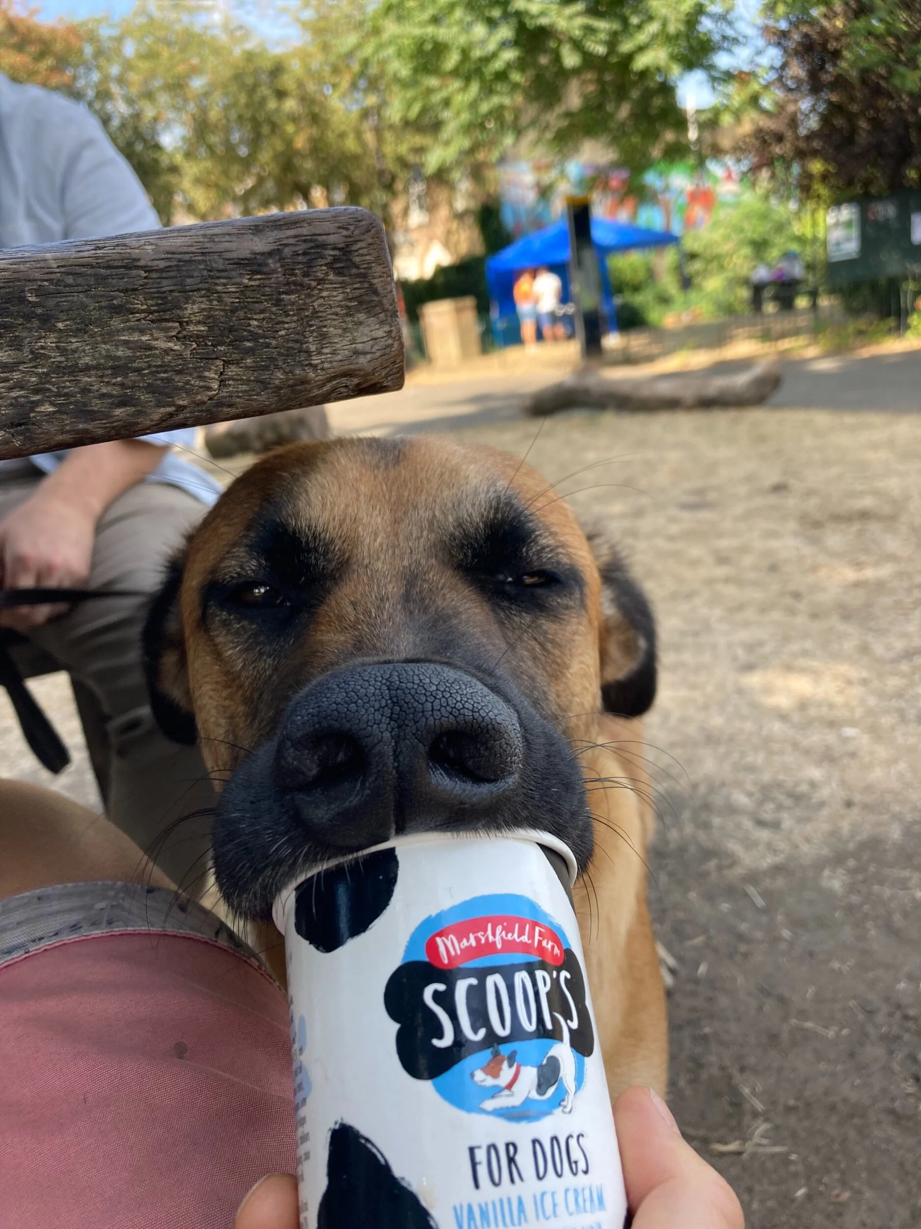 90614E1B-461D-4CF9-98BF-6E12916A1F26