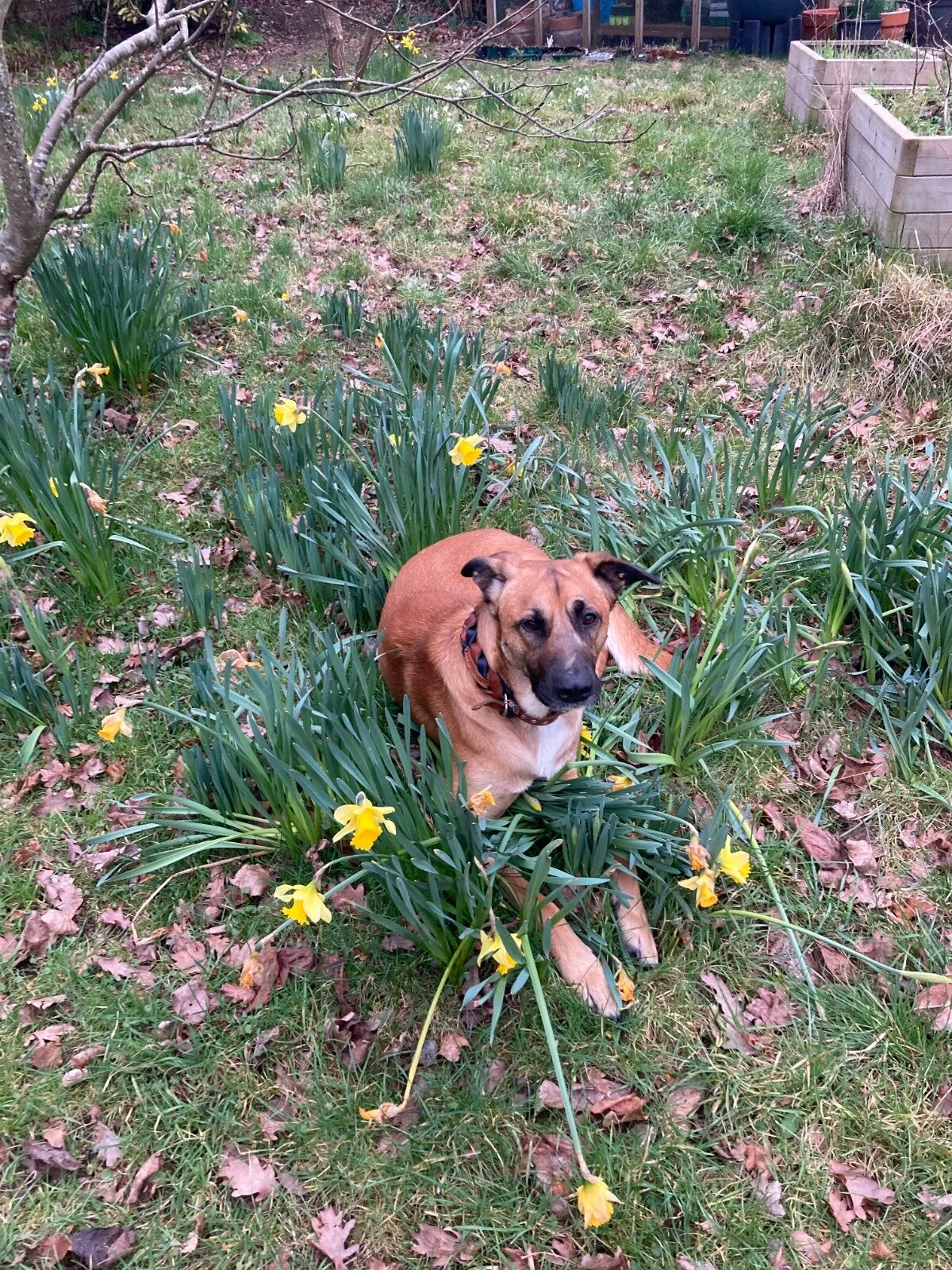 AB7C1A54-4384-4FC6-B97C-74E9AFF250C9