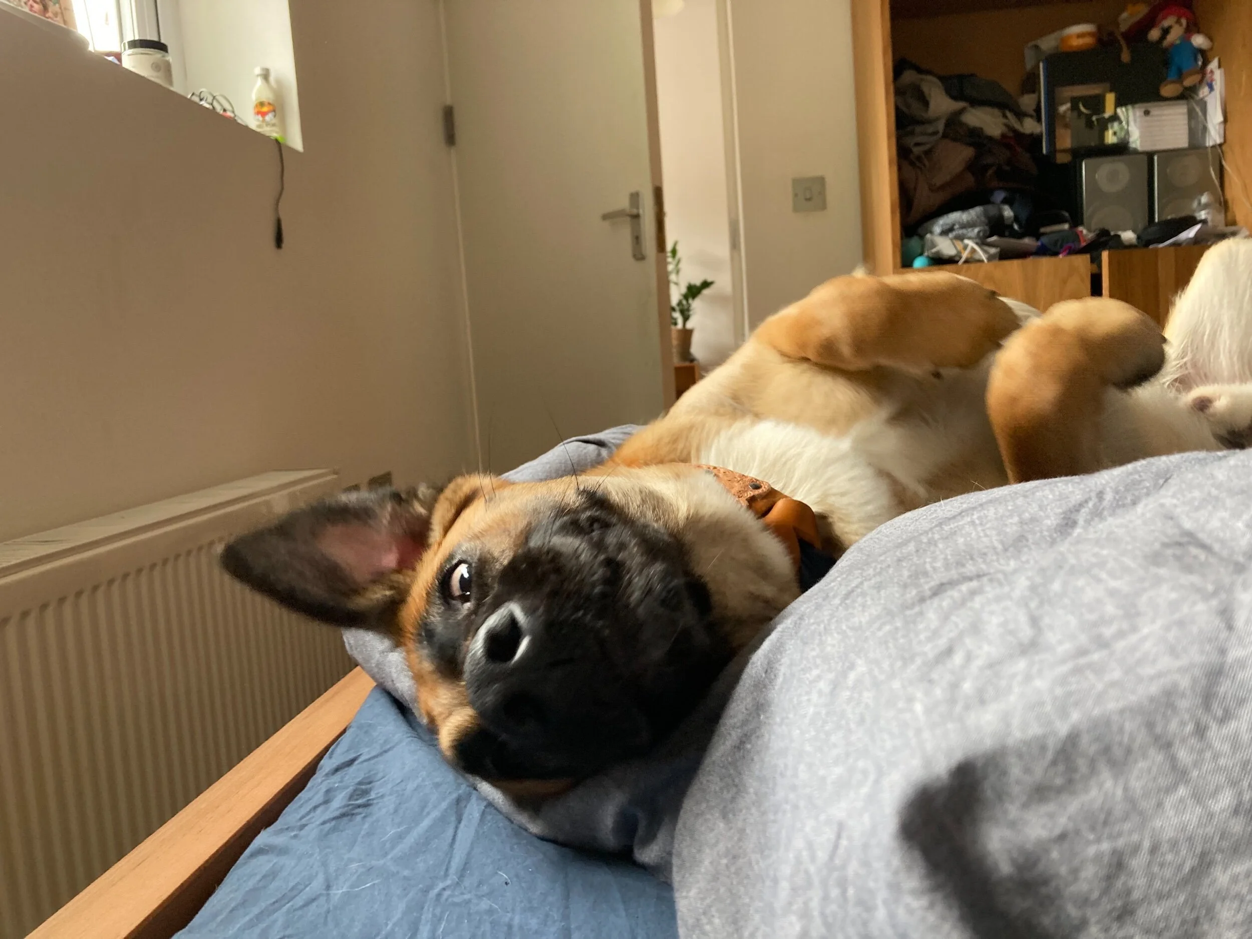 5FB855C4-CA1C-46EF-AC1D-000989FF6013