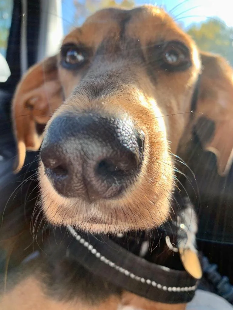 667274B0-57B0-4B69-BA9E-827E4EDDB555