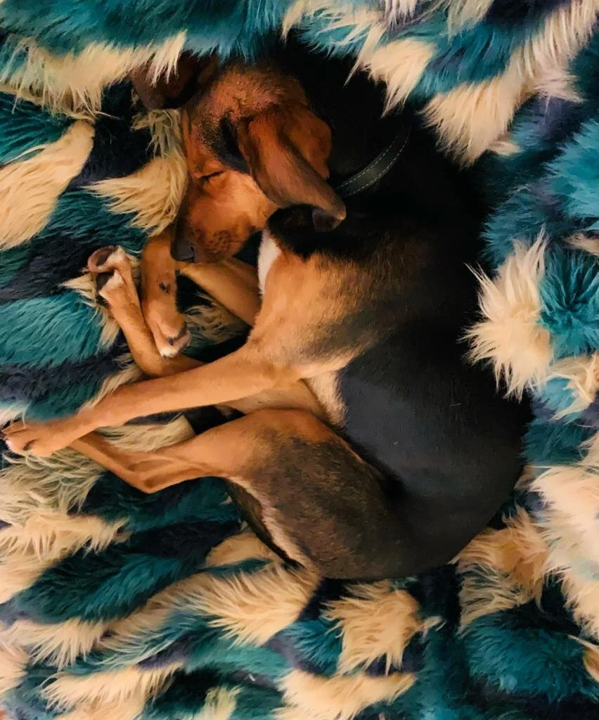 71BB8BBC-1A66-4C2A-9460-2A0B0EBB7382