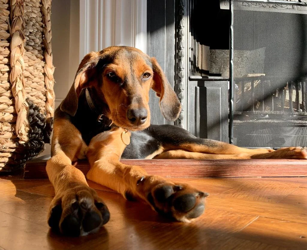 084FD848-BF56-4983-A4CA-29E196408B4B