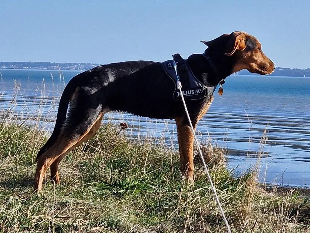 EB945DA5-A607-4861-8422-D0D02A967DEF