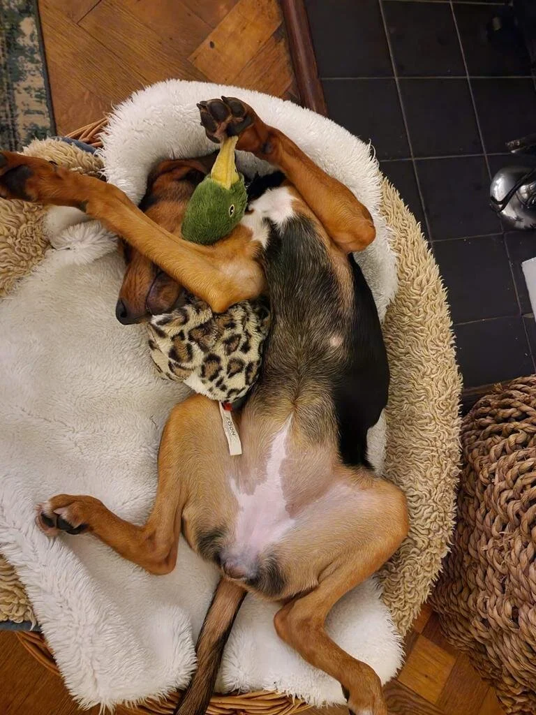 06EC07AE-48A1-4E6B-933D-42D03D0FC4BC