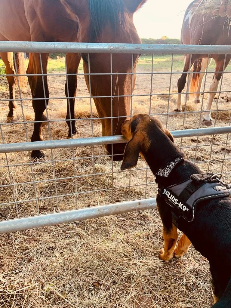 4A7059CF-86DF-477A-B206-5CA58AFDAC48