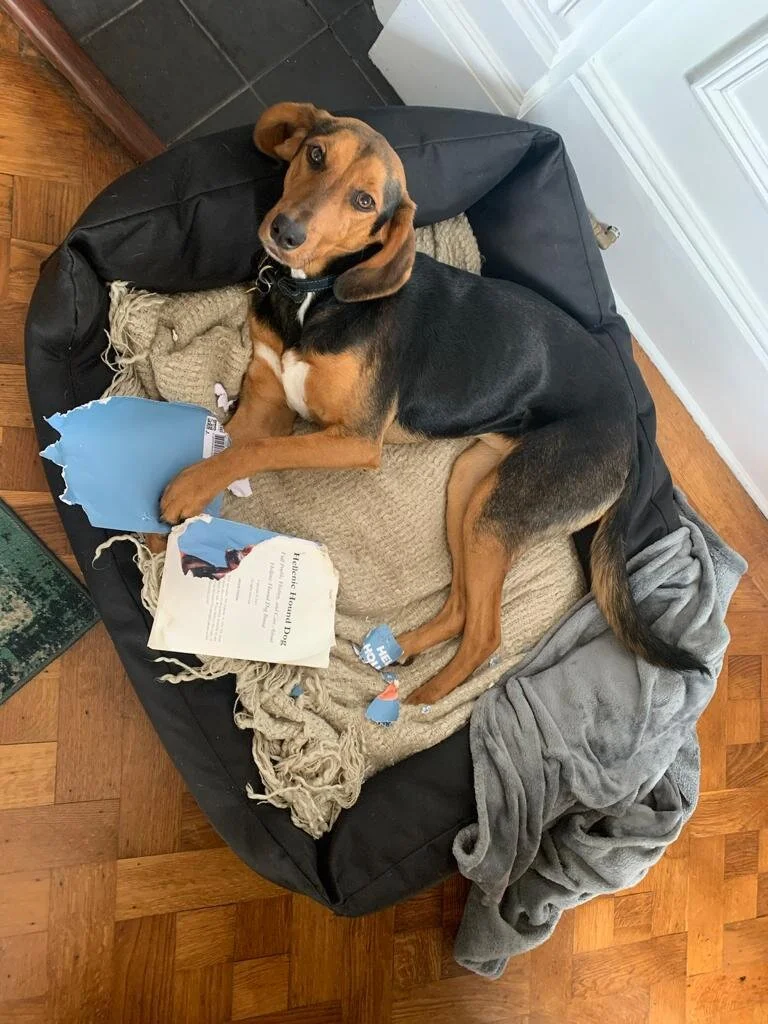 488DCB5C-A133-4999-8176-63A9417598F7