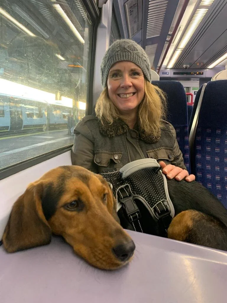 75FBFFBA-F987-4FC2-89D8-D34A2612C442