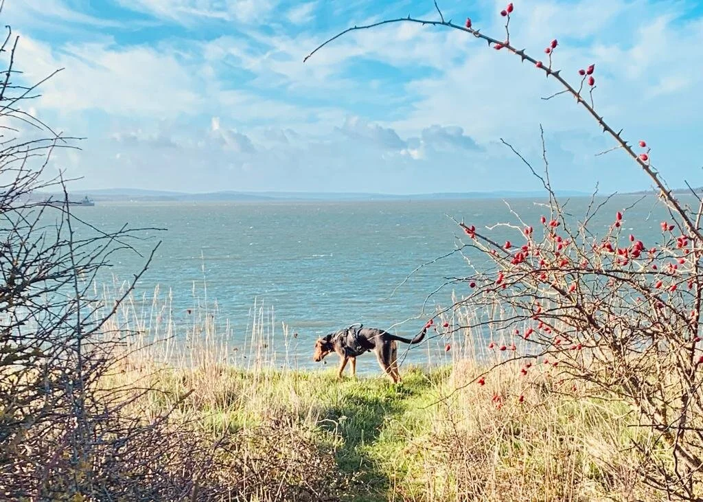 30D9E564-C70F-458A-AC7C-8CD93A61CCCD