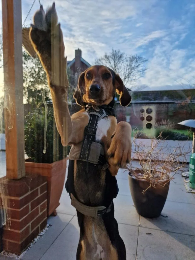 9564AB94-5406-4568-873C-7D8860236AF7