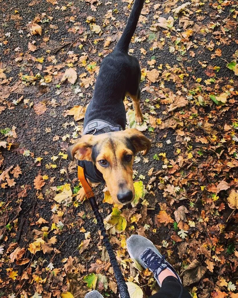 1053A866-2E74-4680-9F3B-F724D6456323