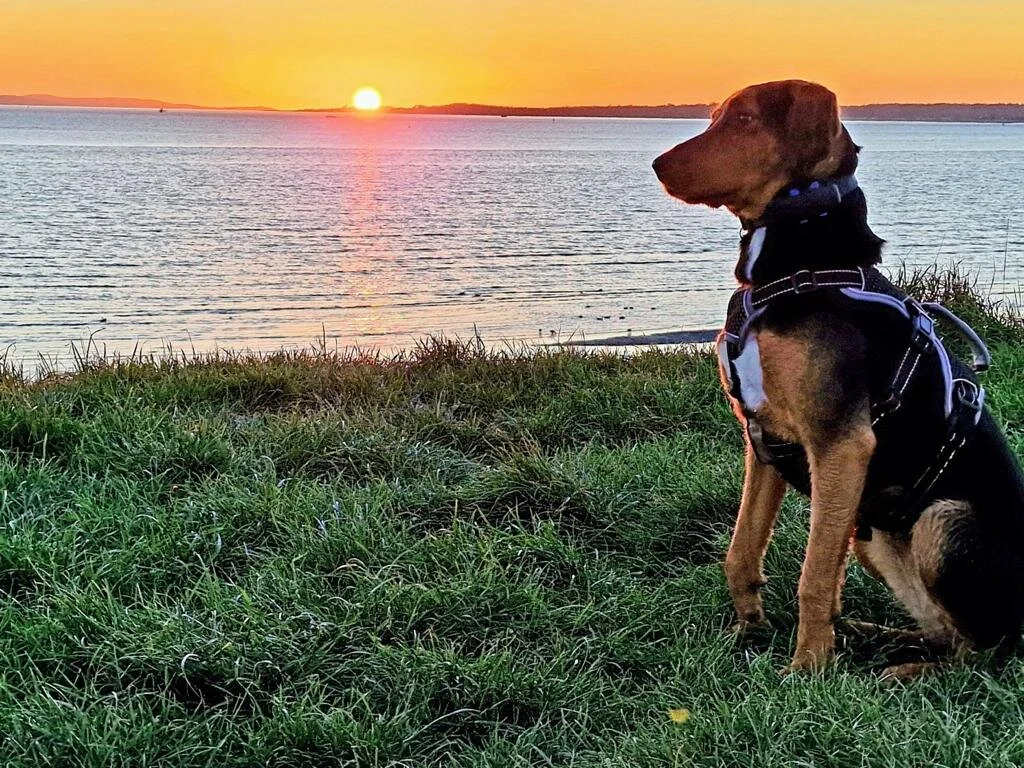 162D562C-4B78-4370-828F-7BC14483F4C3