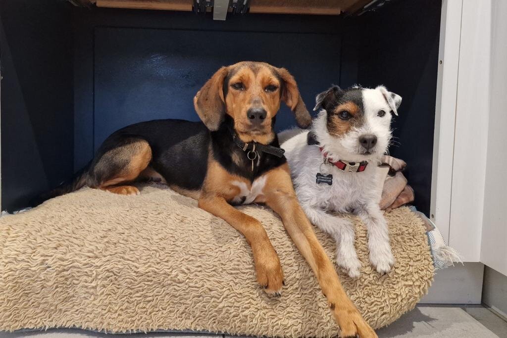 94F3DD60-DD36-4DA1-B56E-9BCCE8B5D2F3