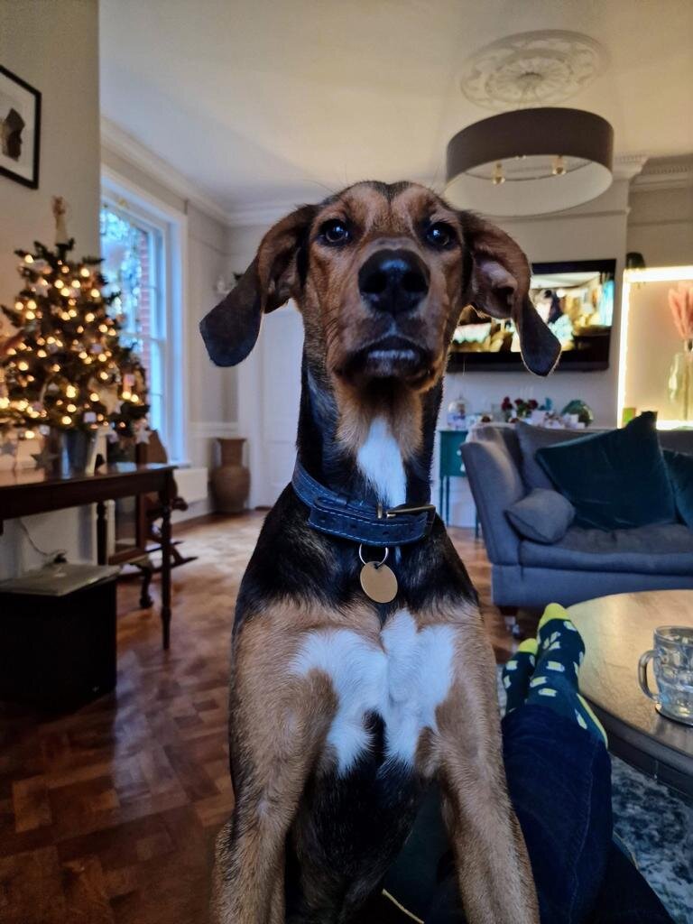 1C7814C5-2E9A-4470-82E0-5C9EAFA7B1F8