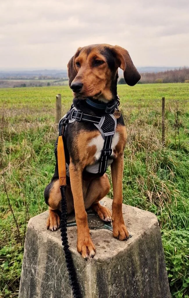 AC49D5B2-9340-4E0E-A76C-5C04A0FDF578