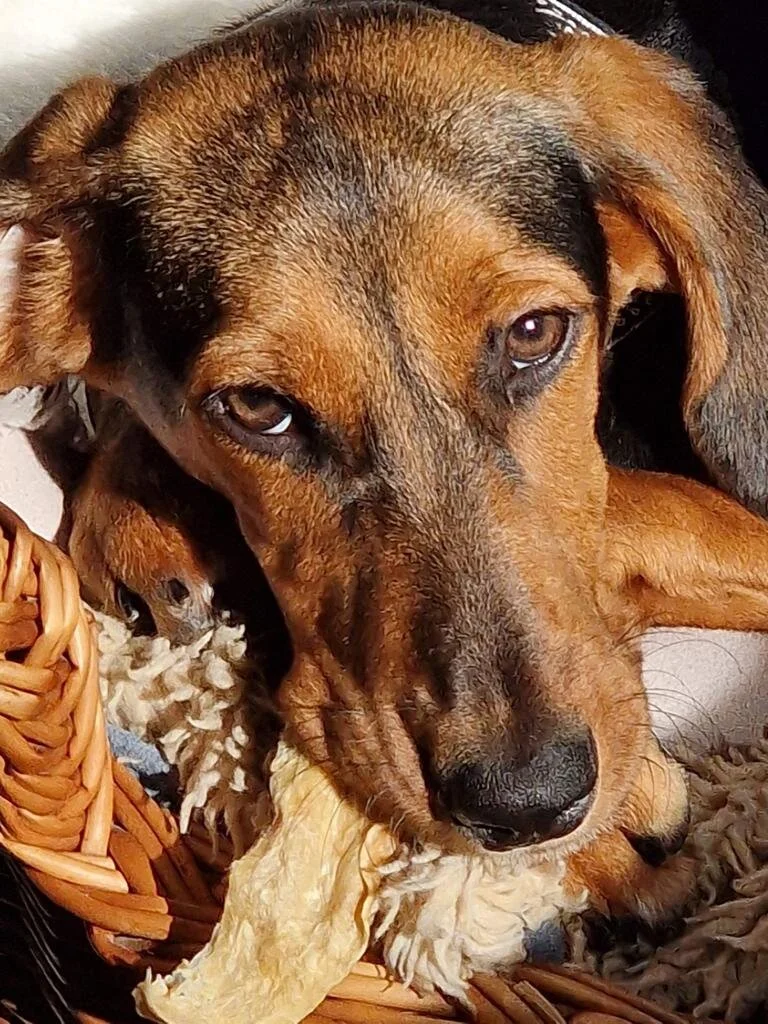 9C2DEFEA-F2D4-4FCC-A3EF-5165C67E541E