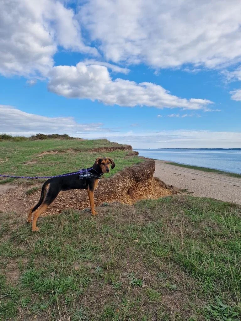 826F83F9-B565-4D06-B623-EC5F2A6F62F7