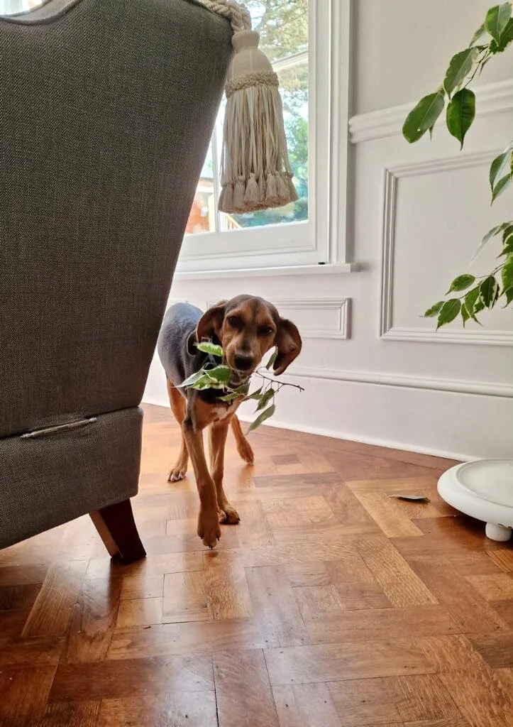 7EAF322B-49BE-4CD7-B4C2-C59D5D6032FB