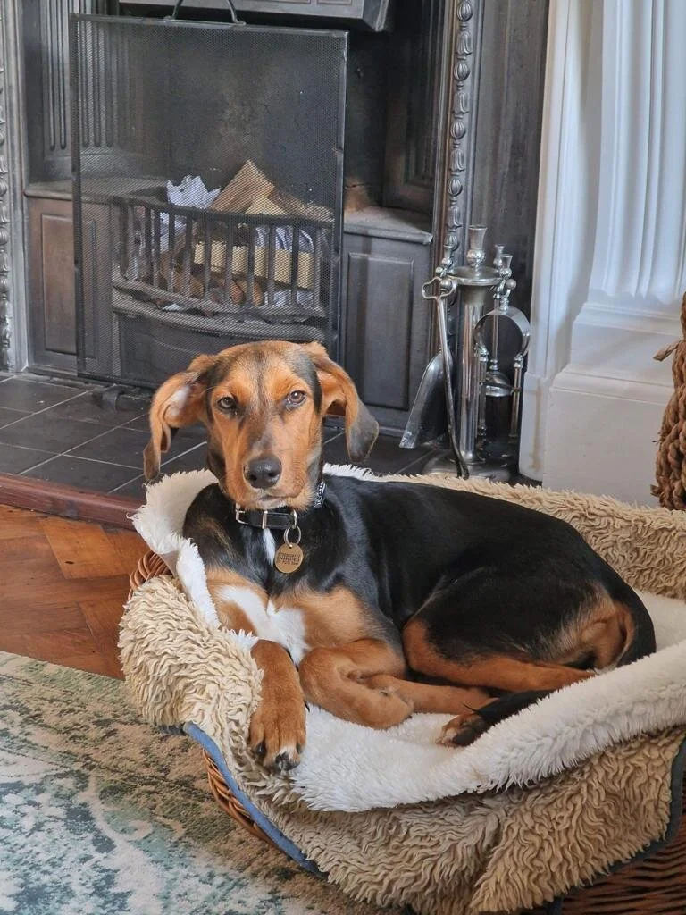 96635180-291B-43E2-A94E-516CA00823F0