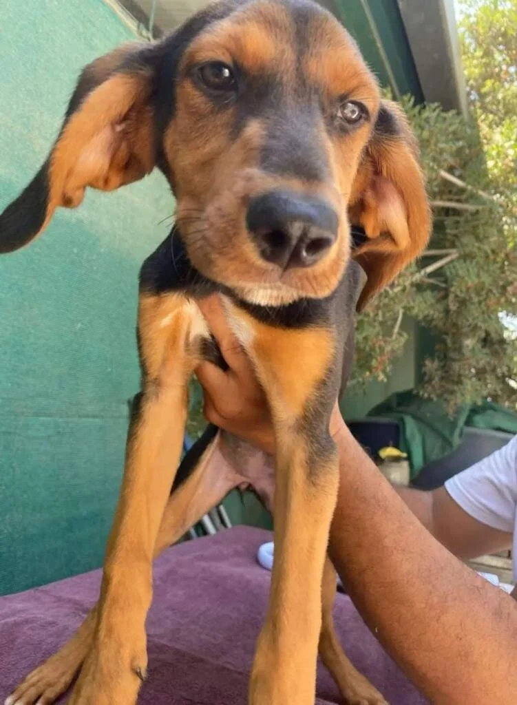 0837DADA-55E0-48A6-9EBA-3436FE6192A6